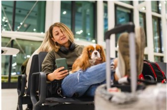 Understanding Airline Pet Fees and Pet Reservations