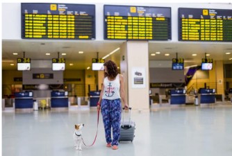 TSA Screening Tips Every Pet Owner Should Know