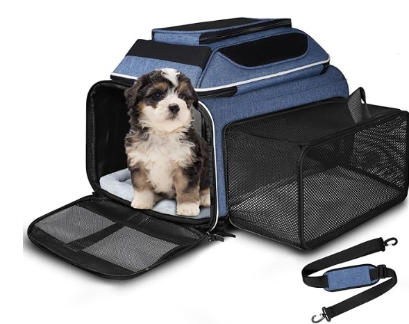 Choosing the Right Pet Carrier